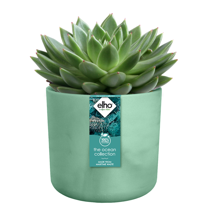 the ocean collection round 18cm pacific green